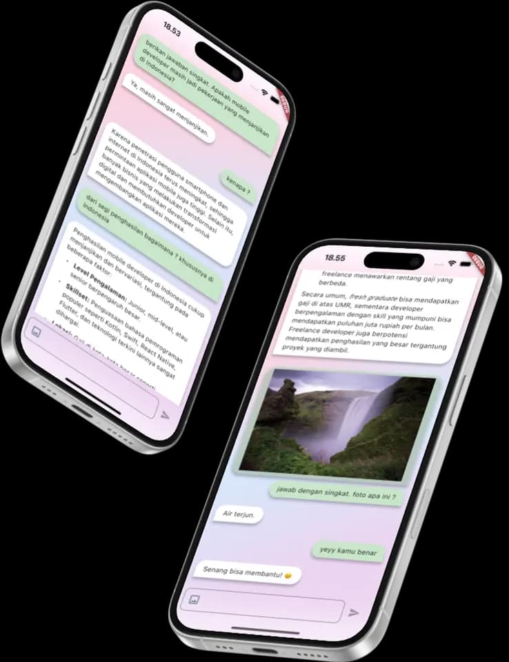 Multimodal Gemini chatbot — screenshot