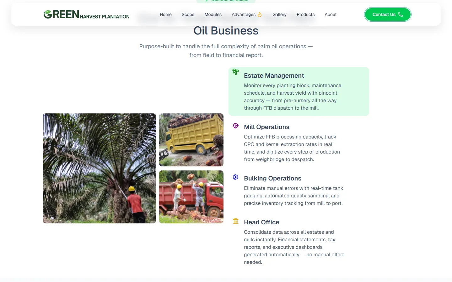 Operational scope section: estate, mill, bulking and head office, with field photos